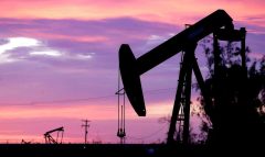 افزایش نرخ خوراک بر بازار سرمایه؛ نابودی ۴ میلیارد دلار ارز آوری!